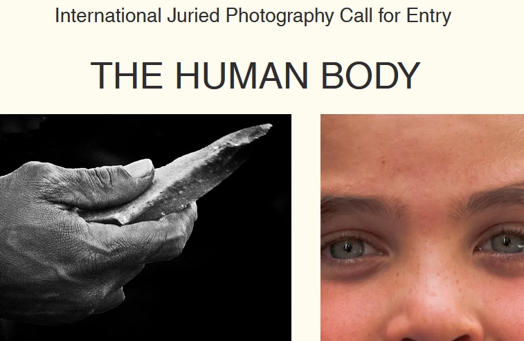 THE HUMAN BODY