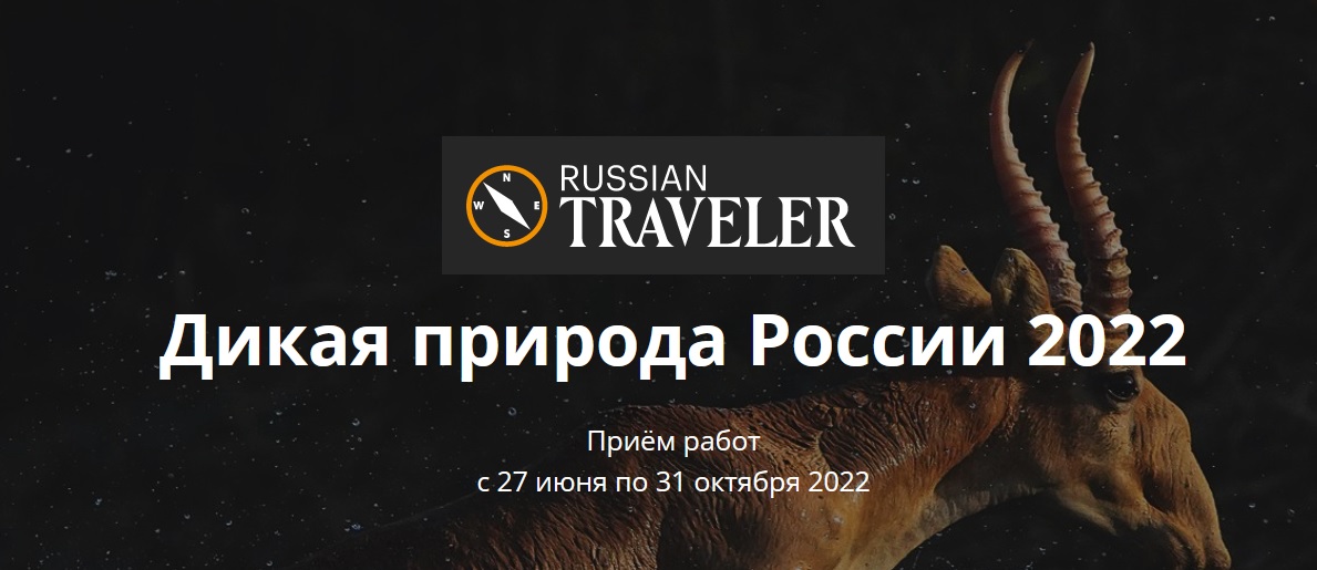 russian-traveler-2022